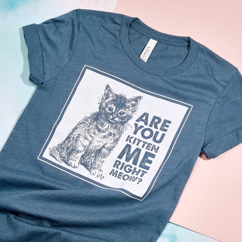 Cat Lady Small Blue Cat Shirt “Are You Kitten Me Right Meow” NEVER WORN - Picture 2 of 6